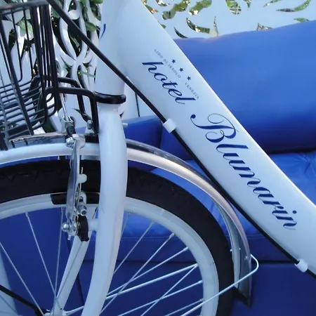 Boutique Blumarin Hotel 3*